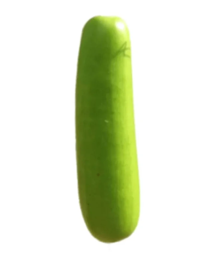 Lauki ( लौकी लंबा ) 2.5 kg - at ₹40/kg